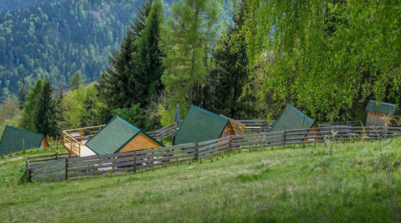 Glamping Hisice Orlic Hotel Muta Exterior foto